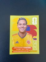 Panini FIFA World Cup Sticker COL 15
